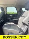 2025 Ford Expedition Active MAX