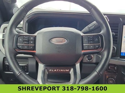 2025 Ford F-250 Platinum